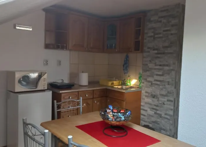 Sasa Apartment Vranje