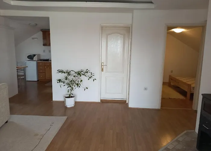 Sasa Apartment Vranje